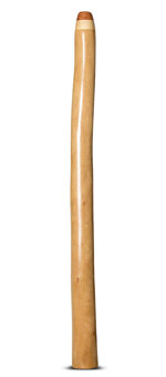 Brad Hagelstein Didgeridoo (BH054)
